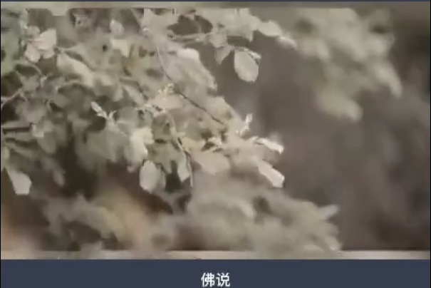 新大泽|一生八字概括即可